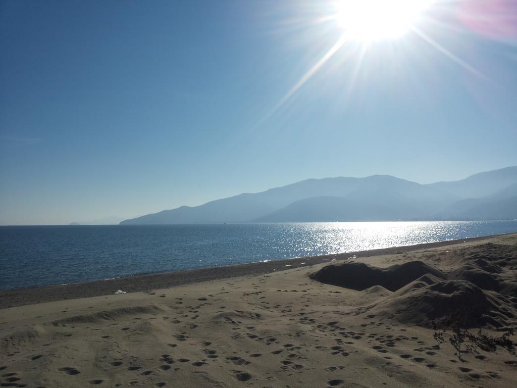 Villa Camellia Βρασνά Εξωτερικό φωτογραφία